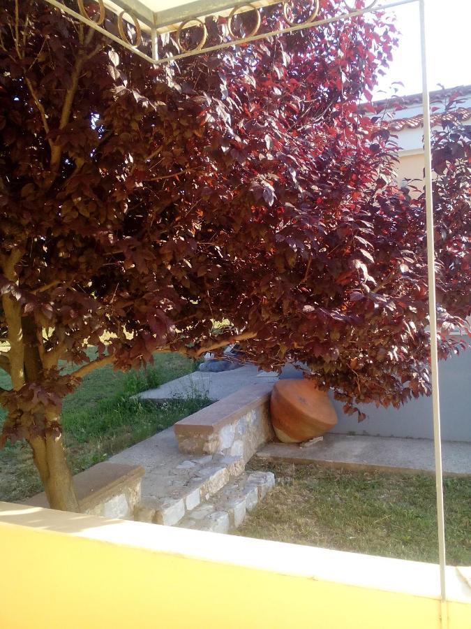 Studios ΣΤΟΥΣ ΠΥΡΓΟΥΣ ΘΕΡΜΗΣ Μυτιλήνη Εξωτερικό φωτογραφία